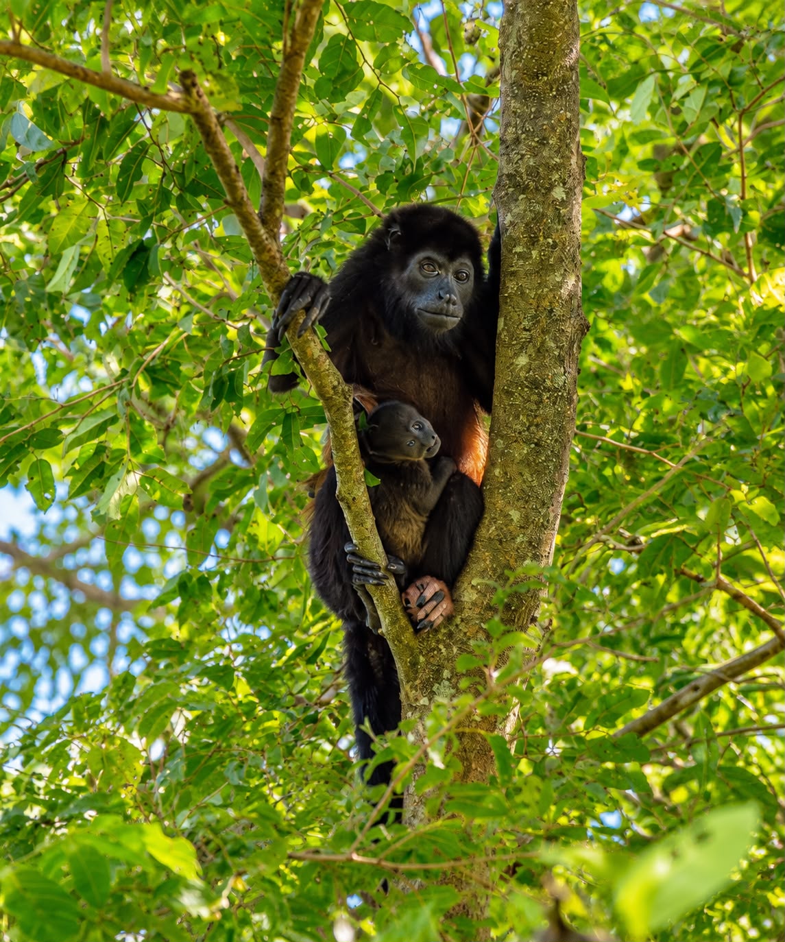 Jungle Boat Tour — Palo Verde National Park 4