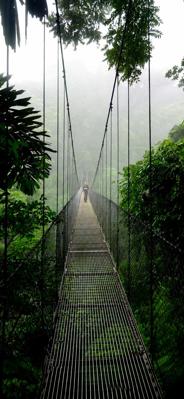 Monteverde Cloud Forest