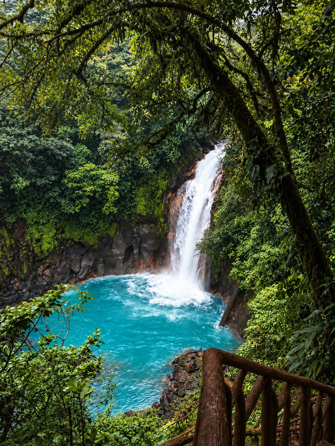Río Celeste & Wildlife Experience