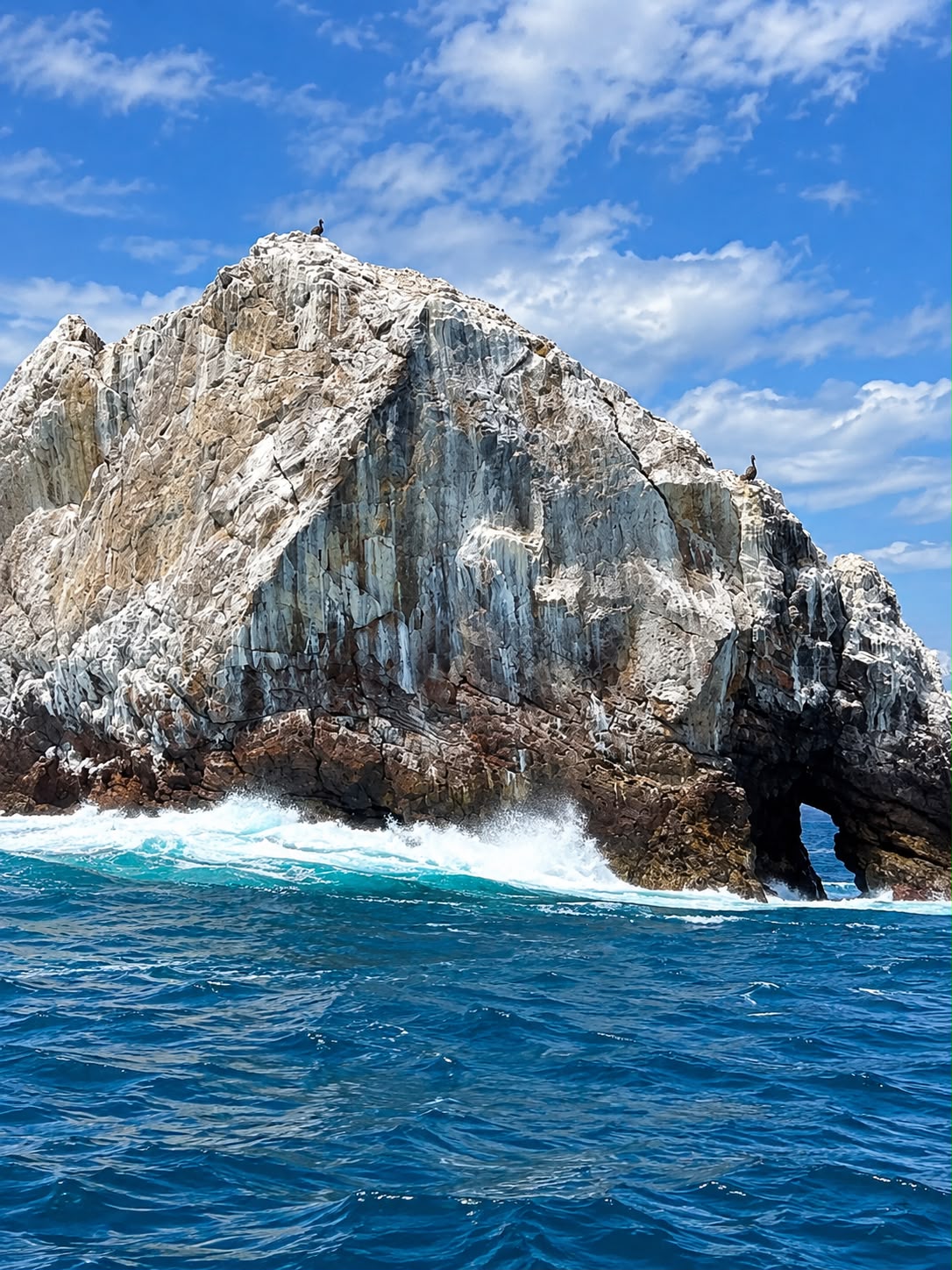 Scuba Diving — Catalinas Islands
