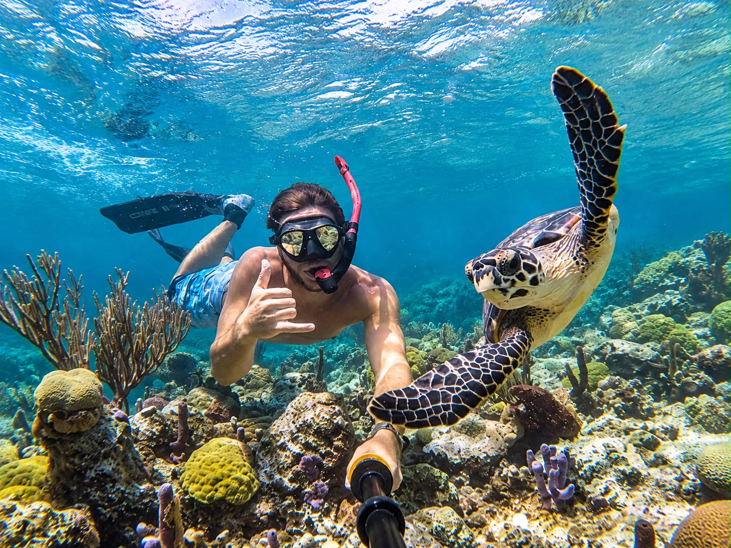 Snorkeling Adventure 2
